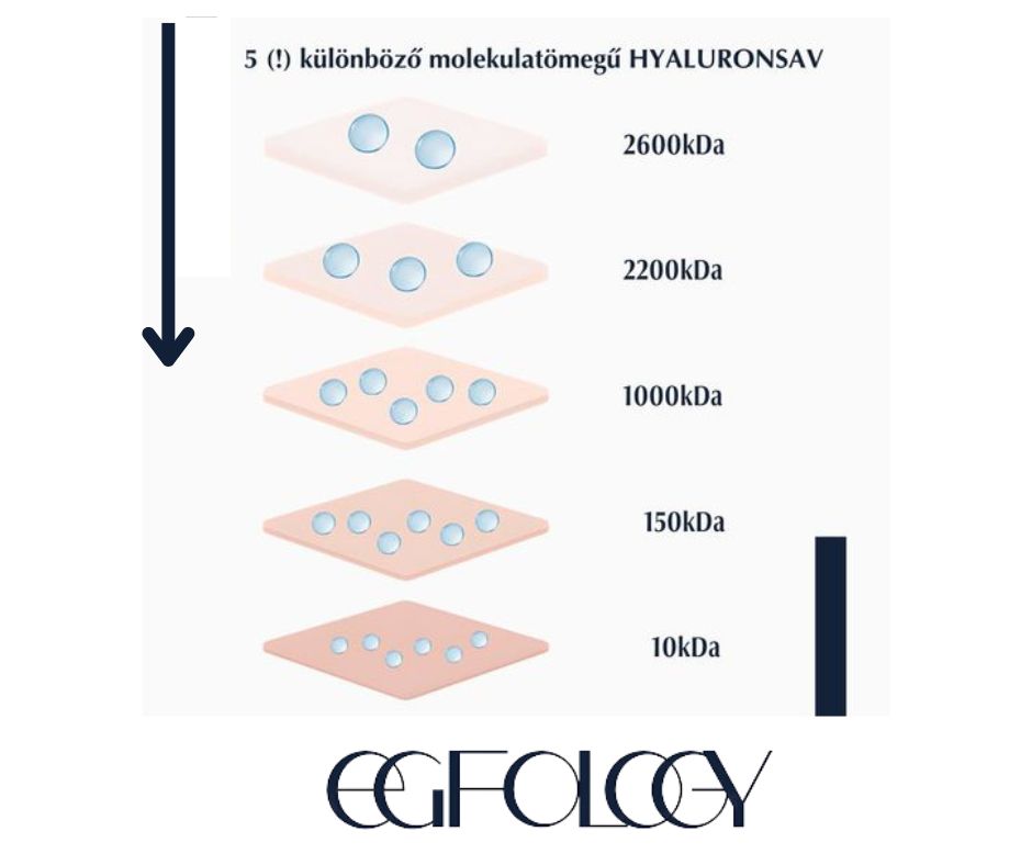 egfology kezeles Budapest